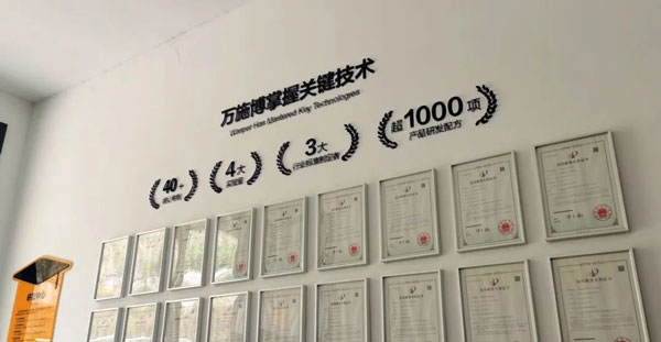 ��ʩ������崿��������